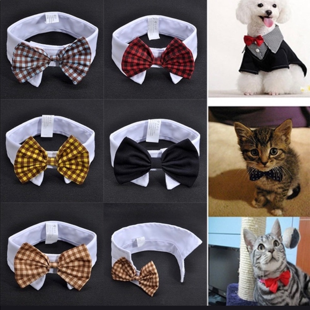 Dog Or Cat Bow Tie Collar Coffee Color Small New
